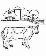 Free Printable Cow Coloring Pages For Kids sketch template