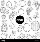 Black And White Cartoon Illustration Of Fresh Fruit food Objects set  sketch template