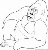 Gorilla Relaxing Coloring Page  Free Pages sketch template