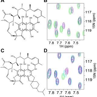 A section of the BCL6-POZ domain structure is shown binding; (A ...