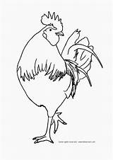 RECIPE Cheapskate Stuffed Baked Chicken  Leticia Mooney sketch template