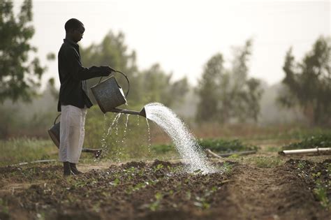 Water in agriculture - giz.de