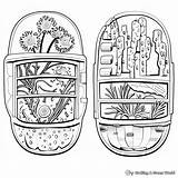 Animal Cell Coloring sketch template