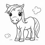 Coloring Pages Of Baby Horse sketch template