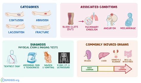 What does blunt trauma mean? – Fabalabse