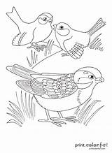 Three Cute Birds Coloring Page  Print Color Fun sketch template