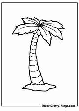 25 Palm Tree Coloring Pages 100% Free Printables sketch template