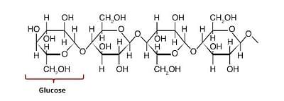 Cellulose: Properties, Structure, Applications and Sample Questions