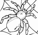 Pill Bug Coloring Page Pages sketch template