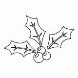 Premium Vector  Coloring Page With Holly Berry For Kids sketch template