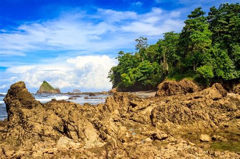 Hiking Corcovado National Park: A Wildlife Adventure • Expert Vagabond