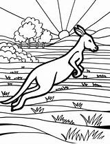 Australia Coloring Pages sketch template