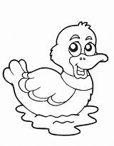 Kids Page  Rubber Duck Coloring Pages sketch template