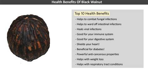 Health Benefits Of Black Walnut