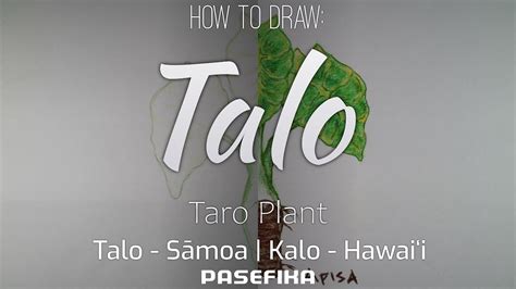 How to draw a Taro (Talo or Kalo) plant with color pencil freehand ...