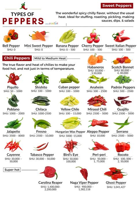 30 Different Types of Peppers From Sweet to Mild, and Truly Hot - Only Foods