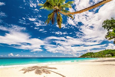 17 Top-Rated Beaches in the Seychelles | PlanetWare