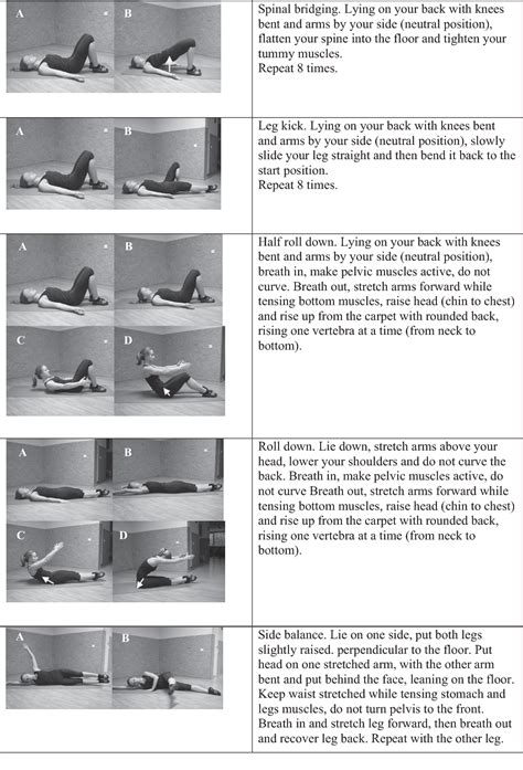 Figure 1 from Effects of core stability exercises on multifidus muscles ...