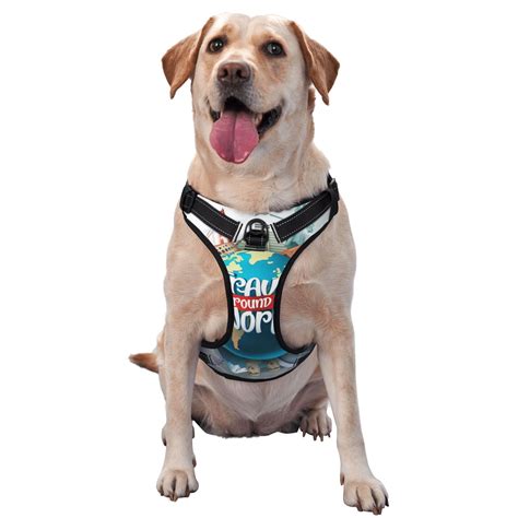 Naloa Travel Around The World Pet Harness Vest with Traction Rope, Adjustable No-Choke Dog Vest ...