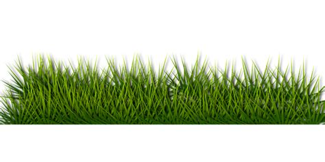 Background Border Grass · Free vector graphic on Pixabay
