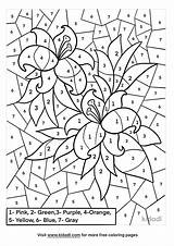 Free Difficult Color By Numbers Coloring Page  sketch template