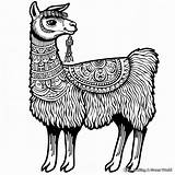 Peru Coloring Pages  Free & Printable sketch template