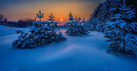 landscape, Snow, Winter, Trees, Nature, Sunset, Cold, Sea, Blue, Russia ...