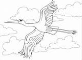 Stork coloring Page  Free Printable Coloring Pages sketch template