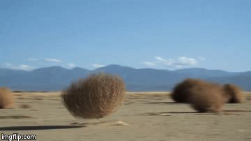 Tumbleweed Gif