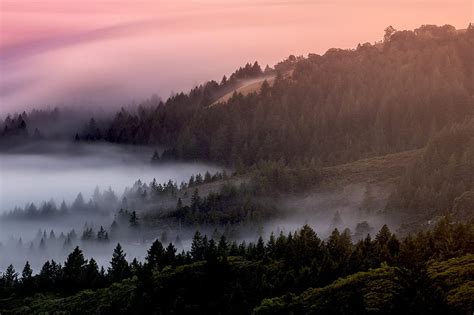 5K free download | Foggy mountain, forest, trees, blue hour, Nature, HD wallpaper | Peakpx