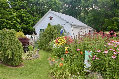 Pam's English Cottage Garden: Midsummer in the Cottage Garden