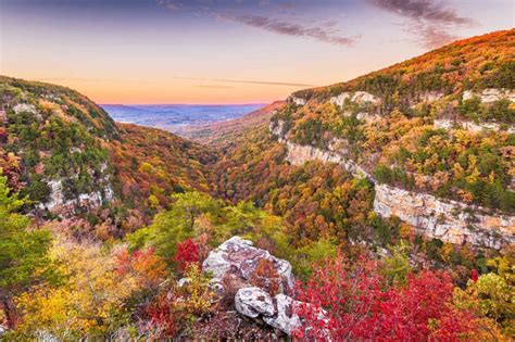 Best Georgia State Parks for Camping - Whake Studios