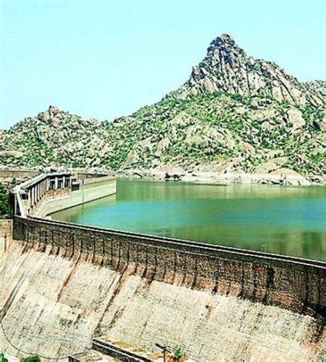 Bird Watching in Jawai Bandh Rajasthan, Bird Sighting at Jawai Dam