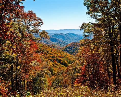 Great Smoky Mountains national Park: Appalachia in Autumn and Beyond