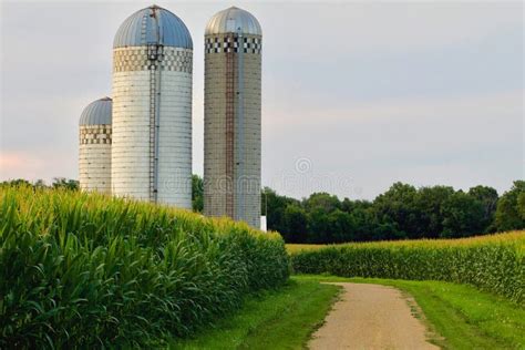 Corn Field Farm Silo stock image. Image of building, corn - 97000383