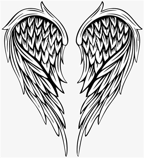 Angel Wings Vector Free Download at Vectorified.com | Collection of ...