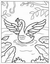 20 Swan Coloring Pages Free PDF Printables sketch template