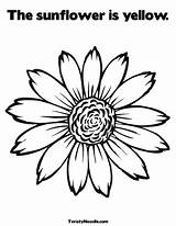Yellow Coloring Pages At GetColorings Free Printable Colorings 1116  sketch template