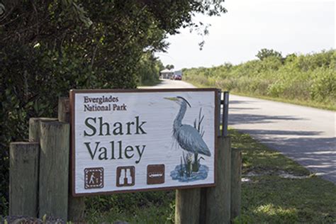 Shark Valley Visitor Center - Everglades National Park (U.S. National Park Service)