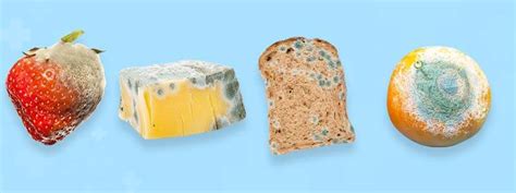 What Happens If You Eat Mold: 6 Potential Health Risks - Crunch Time Health
