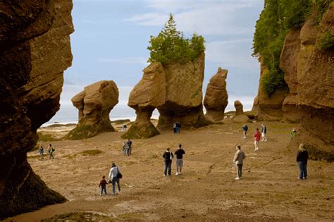 Bay of Fundy | Canadian road trip, East coast travel, Hopewell rocks