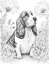 Basset Hound Adult Coloring Sheet AI Generated Page Of A  sketch template