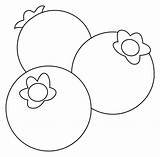 21  Blueberry Coloring Page AnjimAmritha sketch template