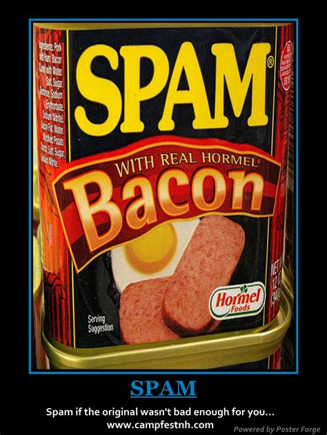 Spam Bacon | Hormel recipes, Bacon, Fast easy breakfast