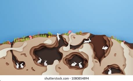 Rabbit Burrow Diagram