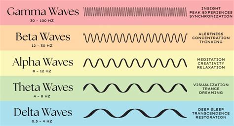 Understanding Brain Waves: Beta, Alpha, Theta, Delta + Gamma