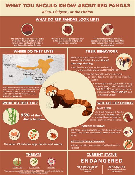 Red Panda Conservation Initiative | Prameyafounation