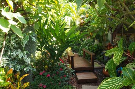 Love your garden: how to grow tropical plants