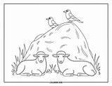 230  Farm Animal Coloring Pages For Kids & Adults Free Printable PDFs sketch template