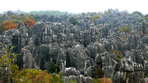 File:Shilin Stone Forest 01.JPG - Wikimedia Commons